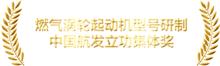 奖项