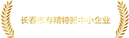 奖项